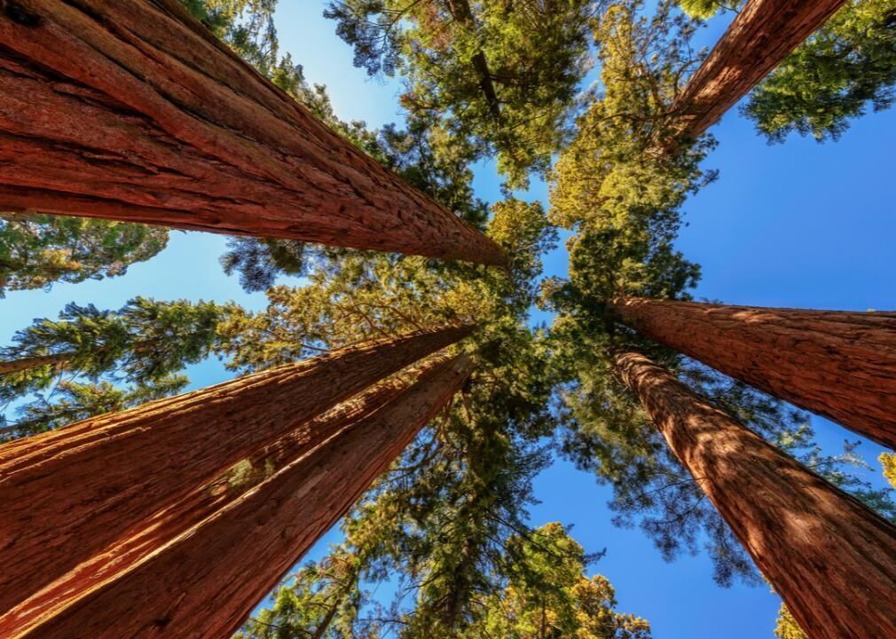 Most popular national parks in America